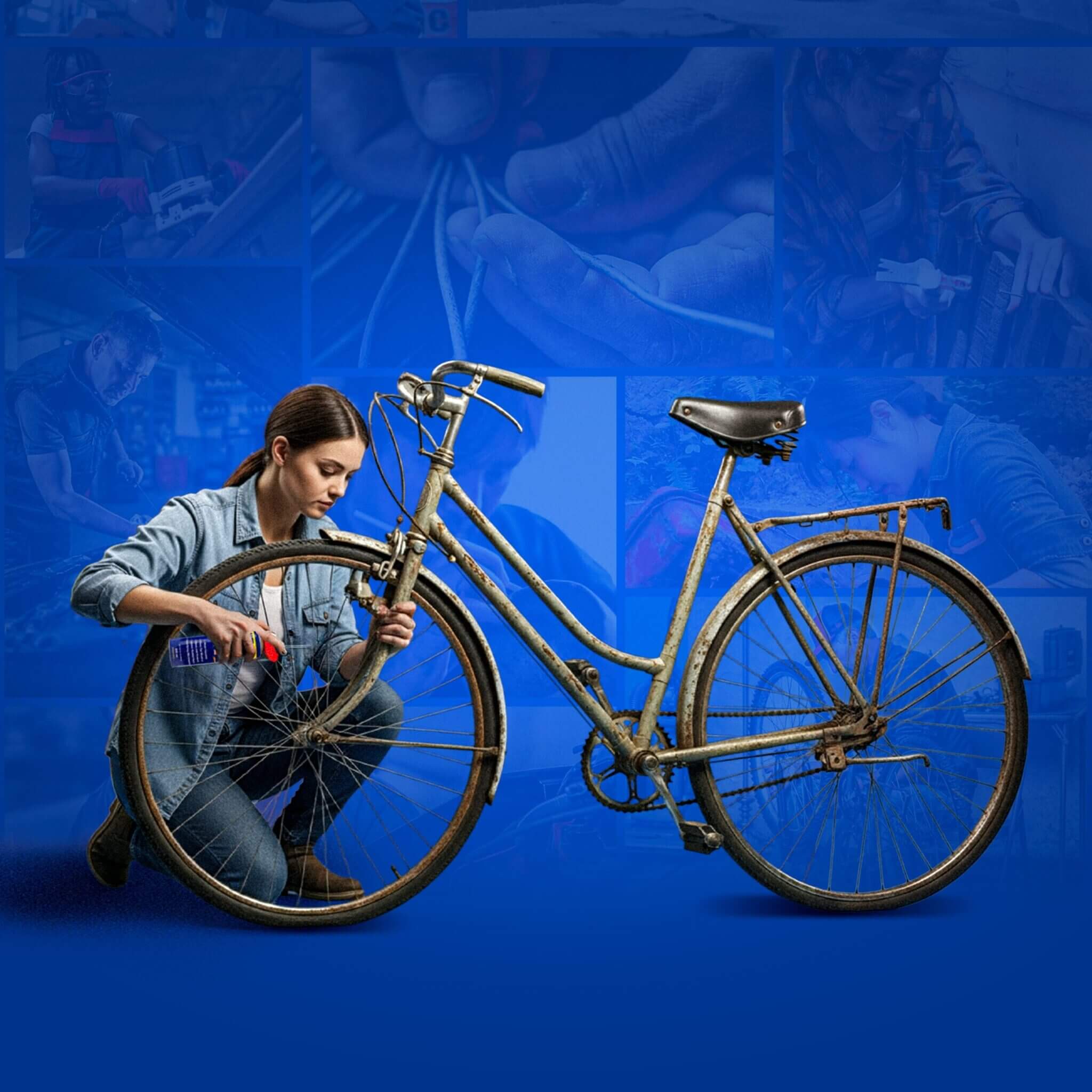 wd40 operacion renovacion
