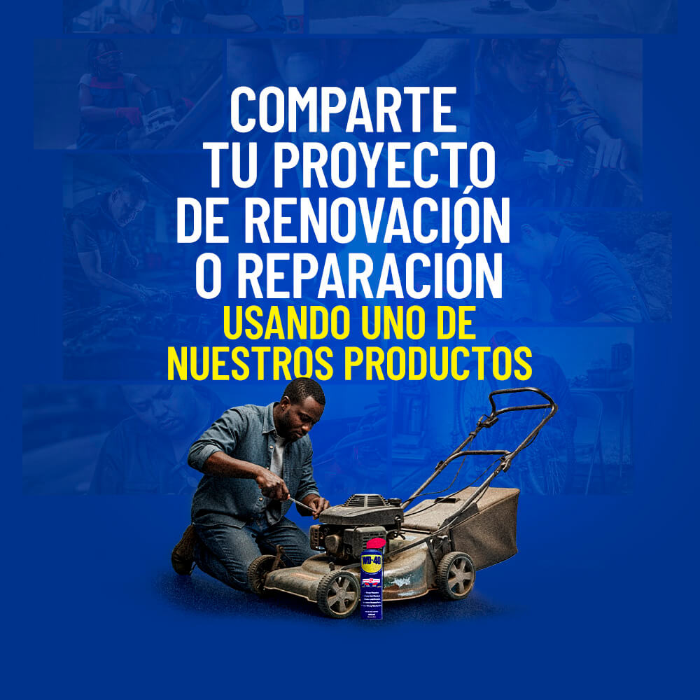 wd40 operacion renovacion