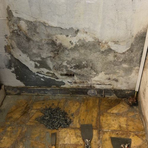 Renovación local para oficina