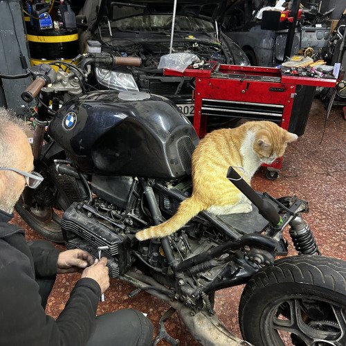 RESTAURACIÓN Y CAFETEO MODERNO DE BMW K75 1987
